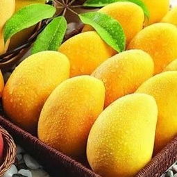 沙田柚 , 碰柑 , 脐橙 广西长兴生态果园